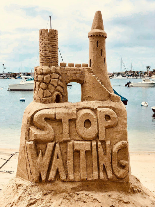 While You Watch and Wait